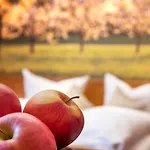 Landgasthof Paradies Hotel