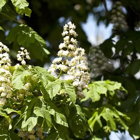 Szálloda Landgasthof Paradies