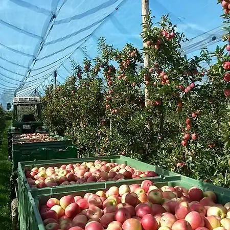 Landgasthof Paradies Szálloda Frickingen