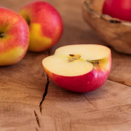 Landgasthof Paradies