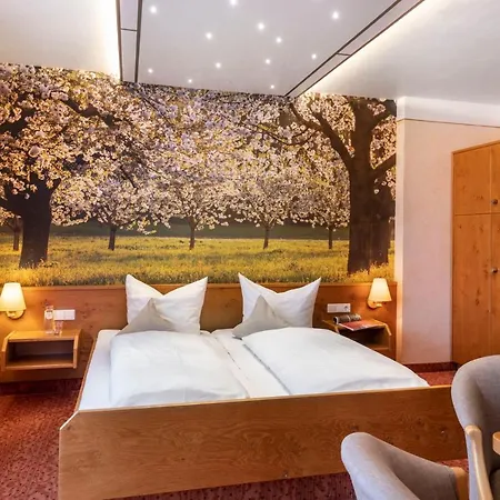 Landgasthof Paradies Hotel Frickingen