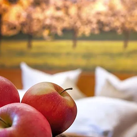 Landgasthof Paradies 3*